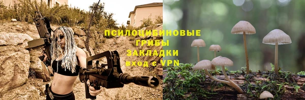 a pvp Армянск